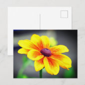 Elegant Single Yellow Sinaasappel Dahlia Flower Feestdagenkaart (Voorkant / Achterkant)