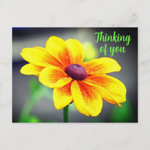 Elegant Single YellowOrange Flower Thinking of You Briefkaart