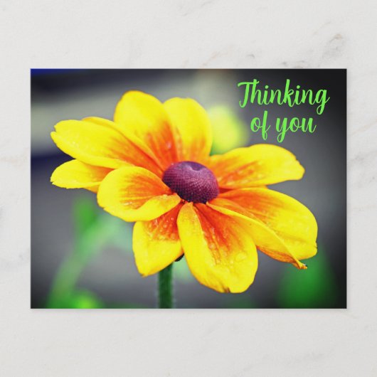 Elegant Single YellowOrange Flower Thinking of You Briefkaart (Voorkant)