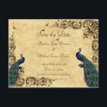 Elegant, sla de Datum op, Peacocks, Douane Aankondigingskaart<br><div class="desc">Sparen de Datum PostKaart van Peacocks. Pas tekst en doopvont aan pak aan.</div>