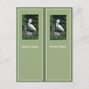 Elegant Snowy Egret Bladwijzer Briefkaart