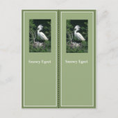 Elegant Snowy Egret Bladwijzer Briefkaart (Voorkant)