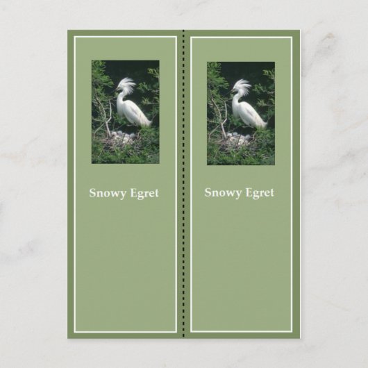 Elegant Snowy Egret Bladwijzer Briefkaart (Voorkant)