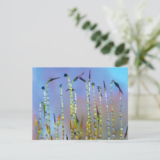 Elegant, Soothing, Dew Drop Botanical Briefkaart (Staand voorkant)