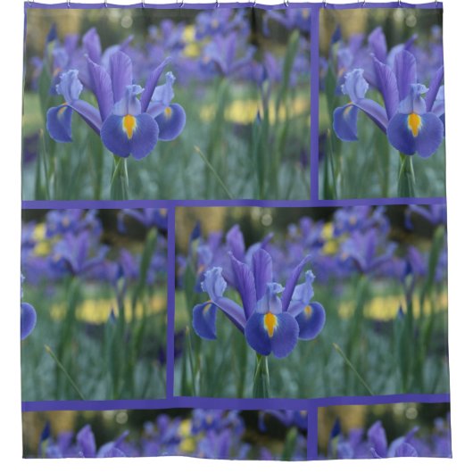 Elegant Spring Flower Paars Iris Douchegordijn (Voorkant)