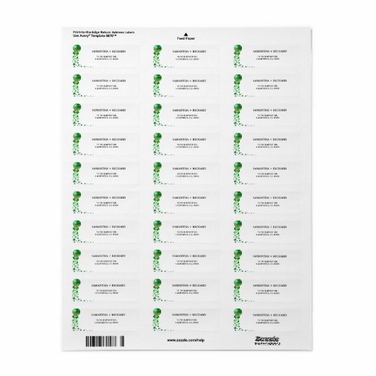 Elegant St Patrick dag paar retour adres label (Full Sheet)