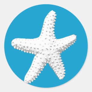 Elegant Starfish Zee Star Ronde Sticker