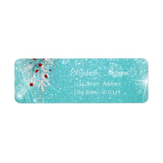 Elegant, stijlvolle kerstversiering etiket (Voorkant)