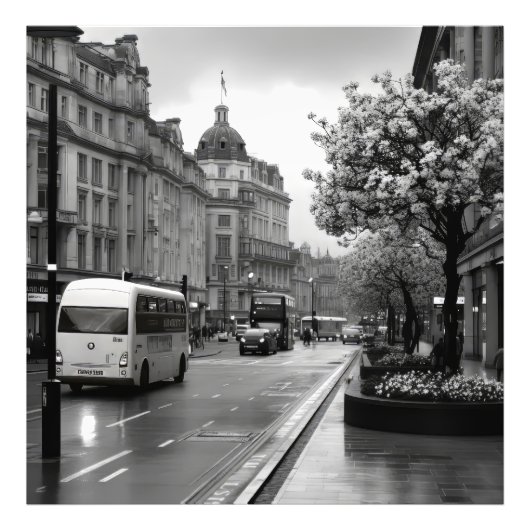 Elegant straat Uitzicht Foto Afdruk (Voorkant)