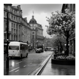 Elegant straat Uitzicht Perfect Poster