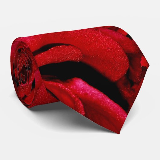 Elegant stropdassen voor speciale gelegenheden in (Opgerold)