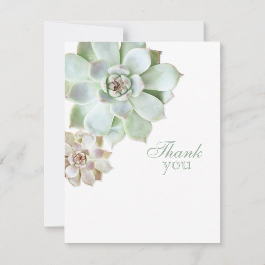 Elegant Succulent Afstuderen Blank Bedankkaart (Voorkant)