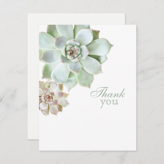 Elegant Succulent Afstuderen Blank Bedankkaart (Voorkant / Achterkant)
