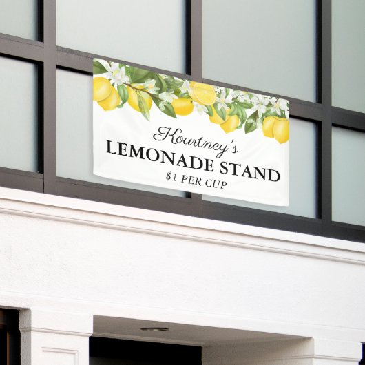 Elegant Summer Lemonade Stand Banner (Buitenkant Gebouw)