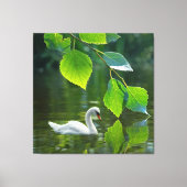 Elegant Summer Swan Canvas Afdruk (Voorkant)