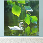 Elegant Summer Swan Canvas Afdruk (Insitu (Houten vloer))