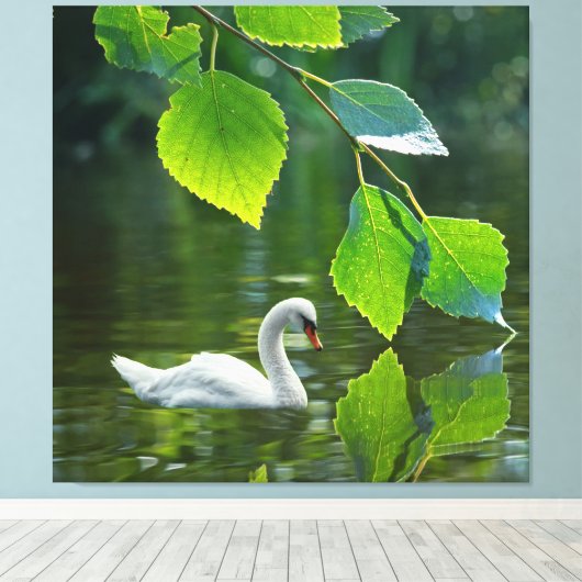 Elegant Summer Swan Canvas Afdruk (Insitu (Houten vloer))
