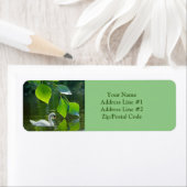 Elegant Summer Swan Etiket (Insitu)