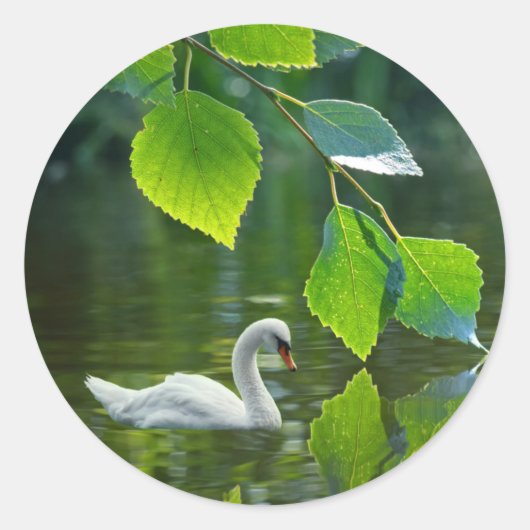 Elegant Summer Swan Ronde Sticker (Voorkant)