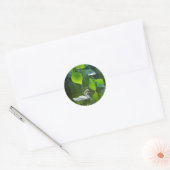 Elegant Summer Swan Ronde Sticker (Envelop)