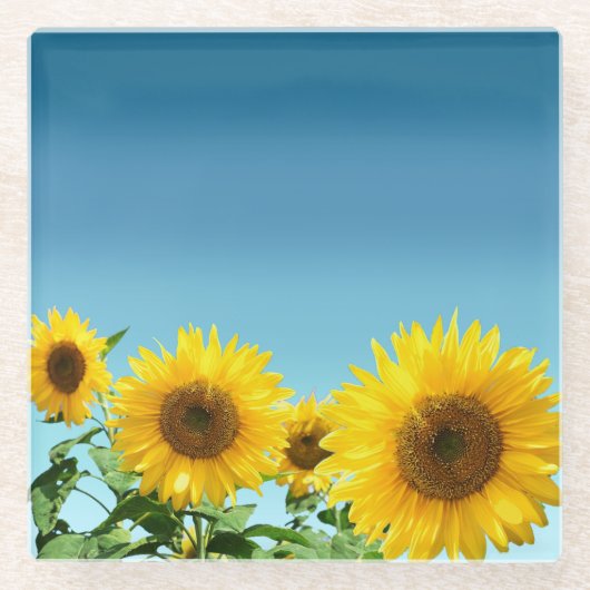 Elegant Sunflower op Sky Blue Shades Glazen Onderzetter (Voorkant)