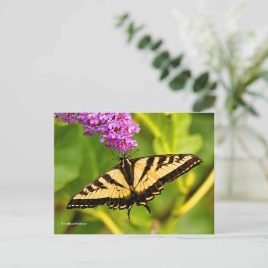Elegant Swallowtail Butterfly op Butterfly Struik Briefkaart (Staand voorkant)