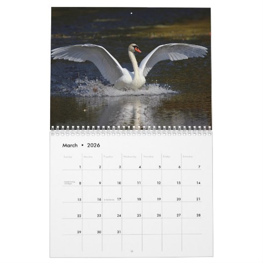 Elegant Swans Kalender (Mar 2026)