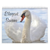 Elegant Swans Kalender (Hoes)