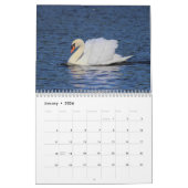Elegant Swans Kalender (Jan 2026)