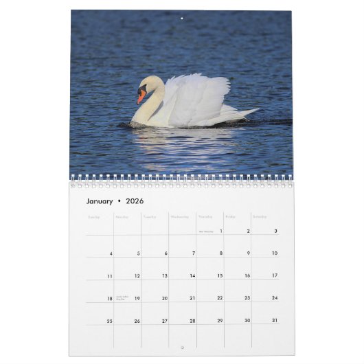 Elegant Swans Kalender (Jan 2026)