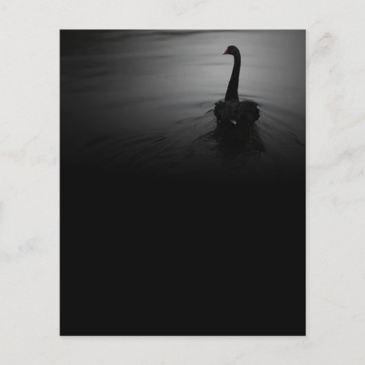 Elegant Swimming Black Swan Flyer (Voorkant)