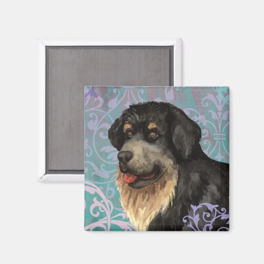 Elegant Tibetan Mastiff Magnet (Voorkant / Achterkant)