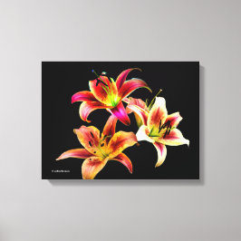 Elegant Trio van Geel Roze Daylilies Floral Canvas Afdruk