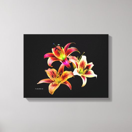 Elegant Trio van Geel Roze Daylilies Floral Canvas Afdruk (Voorkant)