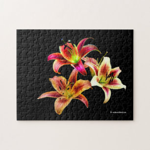Elegant Trio van Geel Roze Daylilies Floral Legpuzzel