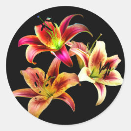 Elegant Trio van Geel Roze Daylilies Floral Ronde Sticker