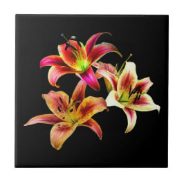 Elegant Trio van Geel Roze Daylilies Floral Tegeltje