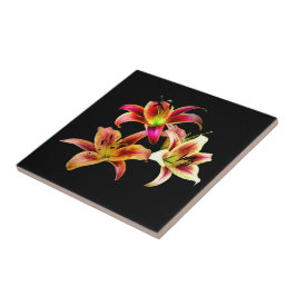 Elegant Trio van Geel Roze Daylilies Floral Tegeltje