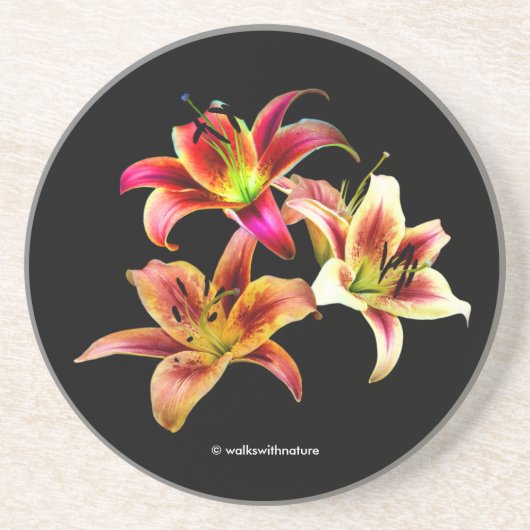 Elegant Trio van Geel Roze Daylilies Floral Zandsteen Onderzetter (Voorkant)