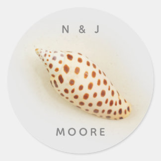 Elegant Tropical Junonia Florida Beach Shell Name Ronde Sticker