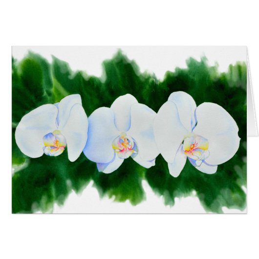 Elegant tropisch wit waterverf orchidee schilderij (Voorkant Horizontaal)