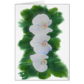 Elegant tropisch wit waterverf orchidee schilderij (Voorkant)