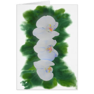 Elegant tropisch wit waterverf orchidee schilderij