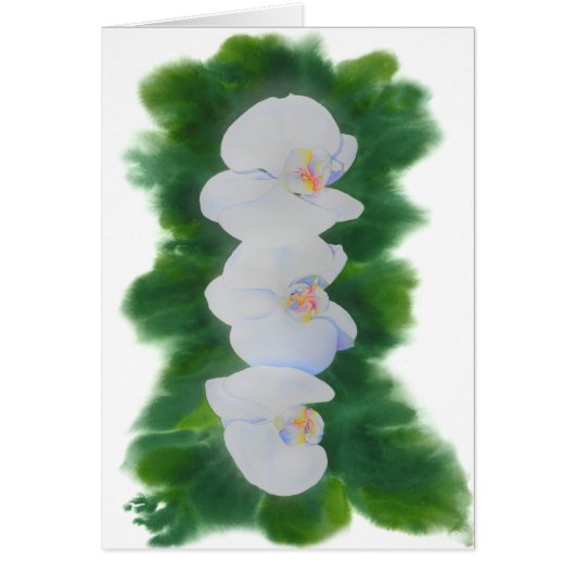 Elegant tropisch wit waterverf orchidee schilderij (Voorkant)