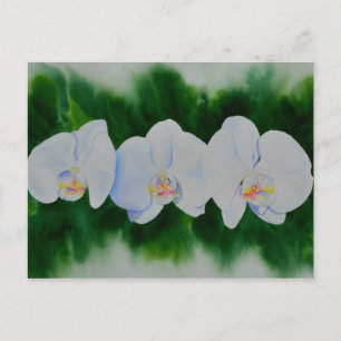 Elegant tropisch wit waterverf orchidee schilderij briefkaart