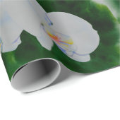 Elegant tropisch wit waterverf orchidee schilderij cadeaupapier (Rol Hoek)