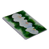 Elegant tropisch wit waterverf orchidee schilderij notitieboek (Rechterzijde)