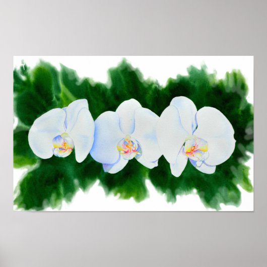 Elegant tropisch wit waterverf orchidee schilderij poster (Voorkant)