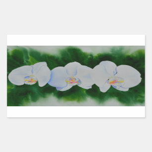 Elegant tropisch wit waterverf orchidee schilderij rechthoekige sticker