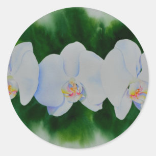 Elegant tropisch wit waterverf orchidee schilderij ronde sticker